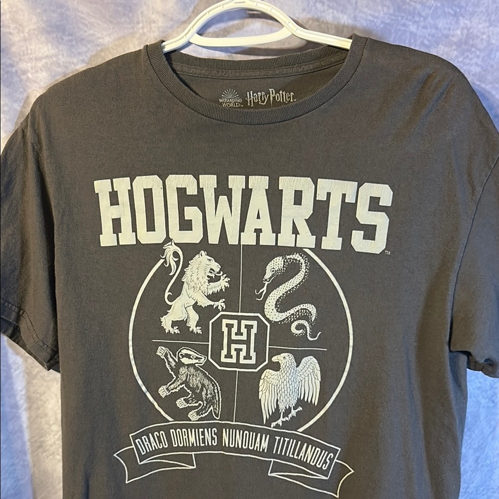 Harry Potter Hogwarts Gray T-Shirt